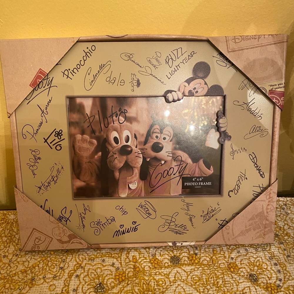 Disney parks frame!